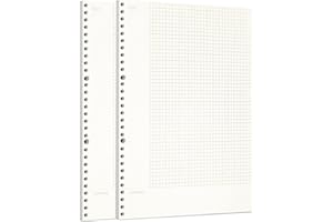 Zelten Connell - luźne arkusze papieru perforowanego, do segregatorów 6-otworowych, osobisty organizer, pamiętnik, notatnik, planer do wielokrotnego napełniania, otwór A4/30