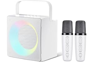 HIUYRFS Karaoke - Macchina per karaoke portatile con 2 microfoni senza fili, sistema PA per feste a casa, riunioni, matrimoni, picnic, gifidit (508 W)