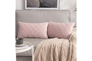 MIULEE 2 Piezas Funda de Cojines Terciopelo Suave Sólido Funda de Almohada Moderna Duradera Decoración para Habitacion Sofá Comedor Cama Dormitorio Oficina Sala de Estar Rosa 30x50cm