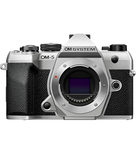 Olympus Om-D E-M10 Mark II Appareil Photo sans Miroir avec
