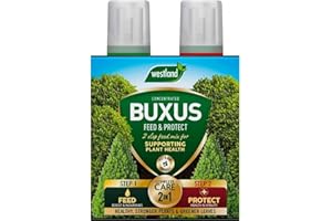 Westland Horticulture 20100418 Buxus Feed & Protect Concentrates 2 in 1 (2x500ML)