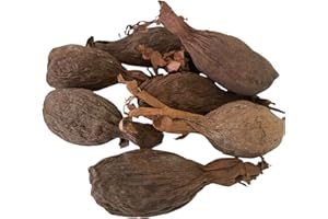 RMY Maniguette entière, Gousse de piment de Guinée, (graines de paradis) piment alligator ou poivre alligator-6/ PCS -