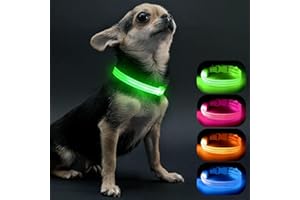 Visinite LED Dog Collar USB Rechargeable, Reflective Light Up Pet Collar for Night Walking, Adjustable Glow Collar for Small Medium Large Dogs (Green, S)