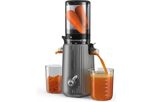 ACOQOOS Estrattore Frutta, Centrifuga Frutta e Verdura con un'apertura di Carico di 110 mm, Facile da Pulire Macchina a Succo Lento con 2 Coppe Grigio Argenteo