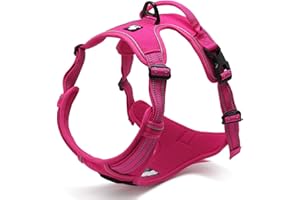 Vivi Bear Uprząż dla psa bez ciągnięcia, outdoorowa przygoda, 3M, odblaskowa, miękka, wyściełana, wytrzymała kamizelka dla zwierząt domowych z uchwytem, regulowana, nylonowa, bezpieczna uprząż do chodzenia, trening dla zwierząt domowych (rozmiar M (klatka piersiowa 56-69 cm), różowo-czerwona