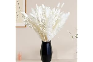 ‎APOMKJOE Pampasgras Trockenblumen Deko, 75 stück Pampasgras Getrocknetes Blumenstrauß, Boho Room Decor Bouquet, Startseite Trockenblumen Deko, für Hochzeiten, rustikale Partys, Babyparty-Dekorationen