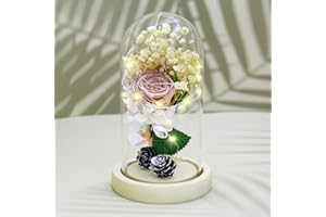 UNIQICON Saint Valentin Rose Eternelle sous Cloche, La Belle et la Bête Rose, Dôme en Verre Rose éternelle avec lumière LED et Base, Mariage Maison Décor, Cadeau Pour Femme, Amie, Anniversaire, Fête des mères