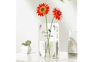 ALINILA Jarrones de Libro Decorativos, Florero de Libro, Florero Decorativos Modernos, Jarrón de Acrílico, Book Vase For Flowers,Jarrones En Forma De Libro Transparente para Mesa de Comedor Sala
