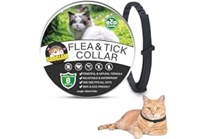 SURGLAM Collare Antipulci e Zecche per Gatti, 1 Pezzi Collare Antipulci per Gatti Impermeabile Misura Regolabile e Naturale con Protezione di 8 Mesi, pulci e zecche Trattamento Efficace per Gattini Nero