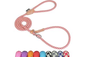 Grand Line Retrieverleine mit Zugstopp, 150 cm Moxonleine Reflektierende Hundeleine, Sicher Dauerhafte Trainingsleine Moxonleine für Kleine Mittlere und Große Hunde - 10mm, Rot-Grün