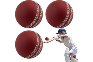 Zankie Cricket d'entraînement - Balles d'entraînement Tennis Cricket,Balles d'entraînement Souples pour l'intérieur et l'extérieur Sports Wind pour la Pratique, balles d'entraînement