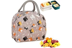 Mecctuck Lekka torba na lunch, 6 l, lodówka podróżna na piknik, składana torba izolacyjna, torba piknikowa, mini torba chłodząca, torebka piknikowa dla kobiet, dorosłych, studentów i dzieci (B)