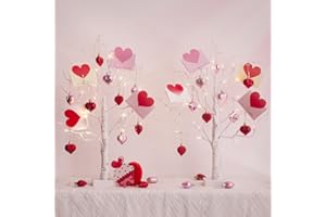 ‎DELICHTER DELICHTER 2er Set Lichterbaum mit 24 warmweiße LEDs Birken Bäumchen mit Herzanhänger Romantische Valentinstag Deko für Hochzweit 60 cm