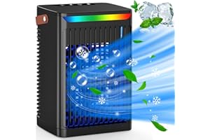 BEEWIN Portable Air Cooler - Portable Air Conditioner Mini AC with Handle,Personal Quiet Small Mobile Cooling Fan,USB Powered,2/4/6 H Timer, 5 Speeds,60°Adjustment,for Office, Home, Room,Desk,Car - Black