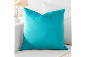 Artscope Fundas de Cojines de Terciopelo Decorativas Cuadradas Color Solido 40x40cm para Decoración del Hogar Sofá Dormitorio Coche Turquesa
