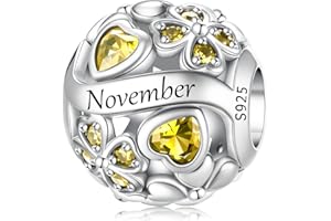 LNQOBU Breloque de pierre de Naissance pour Pandora Bracelet,perle de Charme de coeur D'amour en Argent Sterling 925, Pendentif en forme de Coeur D'amour pour les Femmes