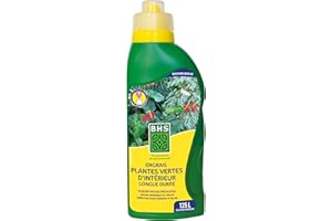 BHS EPVI500 Engrais Plantes Vertes | 500 mL | Soit 125 L | Deux Formes D’azote Pour Stimuler Harmonieusement La