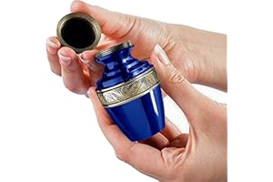 Trupoint Memorials Grande Urne pour Cendres Humaines, Design Colibri, Fabriquée à la Main en Aluminium de Haute Qualité, Souvenir pour Les Défunts, Sac en Velours Inclus – Hauteur 27,4 cm