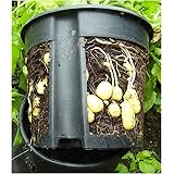 PotatoPot® Kartoffel-Pflanztopf, Kübel für Pflanzkartoffeln auf Balkon & Terrasse