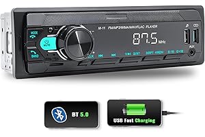 SIXWIN Car Stereo Bluetooth Single Din Car Stereo with Voice Assistant/Bluetooth 5.0 /MP3 Media Player with FM/7 Color Light/Car MP3 Player USB AUX Port/Audio Recording/Remote Control/USB Fast Charging