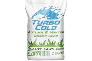 Avern Turbo Cold, Autumn & Winter Grass Seed 1.3KG, Lawn Seed, Hard Wearing Grass, Dog Friendly, Germinates in Colder Weather, Ideal for Overseeding or New UK Gardens (1.3KG, Upto 78 sqm Coverage)