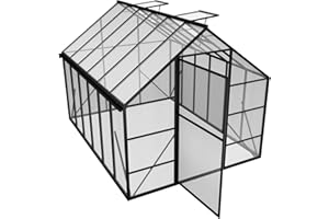 PEILU Serre en aluminium avec panneaux en polycarbonate transparent, fenêtre de toit, porte et fondation, 310 x 250 x 205 cm, résistante à l'hiver, pour jardin, extérieur