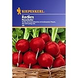 Kiepenkerl, Radies Riesenbutter