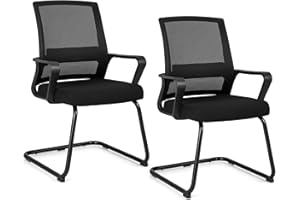 ‎COSTWAY COSTWAY Freischwinger Stühle 2er Set, Schwingstühle mit Armlehne & Lendenwirbelstütze, Bürostühle, Konferenzstühle, Besucherstühle für Büro, Konferenzraum, Arbeitszimmer