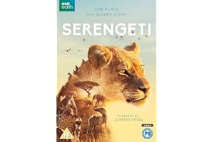 SERENGETI