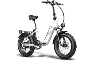 Fafrees 2*Batterie Bici Elettrica, 20 * 4.0 Bici Elettrica Pieghevole Uomo, 48V/10.4Ah*2 (20,8 Ah Totale) Bicicletta Elettrica Pedalata Assistita 140KM, Fat Bike Ebike Donna, FF20 Polar