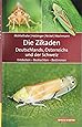 Die Zikaden Deutschlands, Österreichs und der Schweiz: Entdecken – Beobachten – Bestimmen (Quelle & Meyer Bestimmungsbücher)