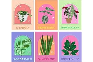 LOITTAINUE Malen Nach Zahlen Erwachsene 6 Stück, Malen Nach Zahlen Set Blume mit Knitterfreie Leinwand, Pinsels Und Acrylfarbe für und Anfänger, DIY Handgemalt Ölgemälde Kit Als Geschenk 20x30cm