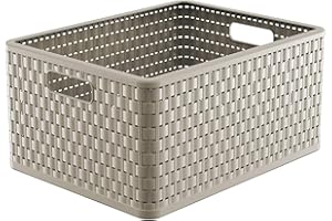 Rotho Country Caja de almacenamiento 28l en aspecto de ratán, Plástico (PP) sin BPA, capuchino, A4+/28l (43.0 x 33.0 x 21.5 cm)