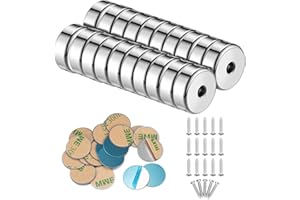 calamite potenti LDUDU 20 pezzi 6KG forza 16 x 5mm con foro, magnete svasato con viti e 20 pastiglie in acciaio (Argento)