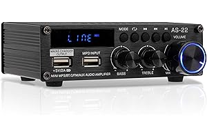 NAMYOPRCE 300W+300W Amplificatore, HiFi Audio Stereo BT Radio Portatile per Auto o Casa, con Telecomando ed Mini Display 2CH LCD, 12 V / 220 V