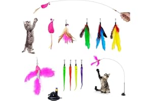 Baguuaray Jouet à Plumes pour Chats 13 Pièces Jouets pour Chat Interactifs, Jouets pour Chat Intérieur, Jouet Chat Kit avec Ventouse Amovible et 10 Interchangeable Jouet avec Grelots