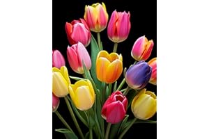 PJFNHD Decorazione del giardino Tulipani bulbi Tulipani bulbi olandesi