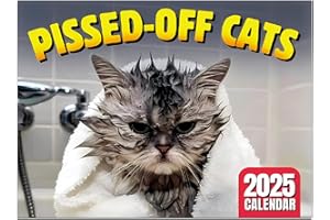 MPLEHDA Calendario con gatti arrabbiati 2025, calendario 2025, con gatti arrabbiati, calendario per gatti arrabbiato, divertente da parete, Angry Cat Calendar 2025, calendario 2025, agenda mensile per gli