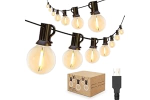 IKERY USB Outdoor String Lights, 30M/98FT Warm White 50+2 COB Globe Bulbs IP65 Waterproof Festive Lights Outdoor, Indoor Garden String Light for Gazebo, Christmas, Backyard, Party, Patio Decor
