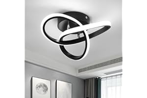 EIDISUNY LED Lamp 2 Rings Creative Personality Nordic White Black Ceiling Lighting for Entrance Hallway Lights Ceiling Living Room Cool White Light 22W (Black)