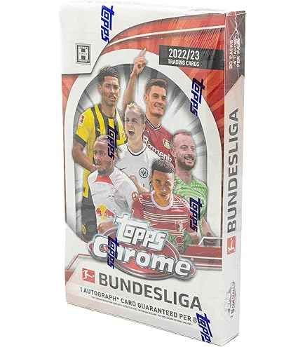 Panini 2021 Chronicles UFC Hobby Box : Amazon.de: Spielzeug
