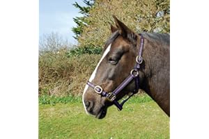 Rhinegold Medidor de Nailon