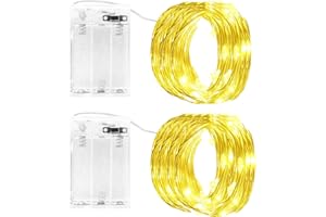 cshare Catena luminosa a LED, a batteria, 2x3 m 30 LED, filo di rame, con timer, impermeabile, per camere, giardino, brocche, Natale, decorazione per interni,Bianco caldo