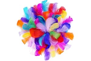 ARROMI 300 Plumes Plumes Loisirs Creatifs, Plume, Plume Decoration, Décoration pour DIY Arts Crafts, Costume, Attrape-rêves Masques de décoration, Festival, fête d'anniversaire