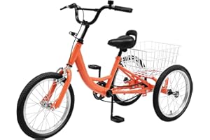 ZOOBOTANICA Kinderfahrrad,16 Zoll 3 Rad Dreirad,MäDchen Jungen Kinderdreirad,3 Single Speed Fahrader mit Einkaufskorb füR Fahrradwege und Verschiedene StraßEn Geeignet, Geschenk füR Kinder ab 7-10 Jahre