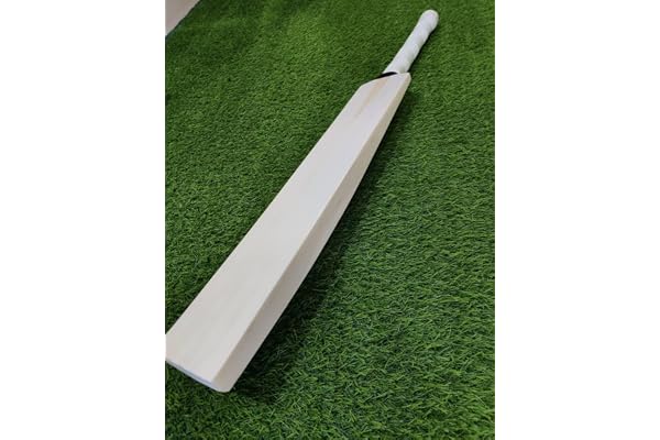 English Willow Cricket Bat for Men and Women Full Size Short Handle Lightweight Free Cover SAG