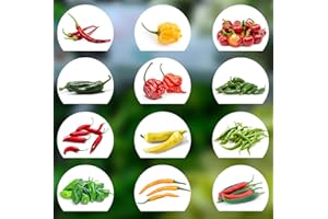 PRADEMIR Chili Seed Set | 12 variedades de semillas de chile desde picante a suave | Set de cultivo con Chili Premium- Semillas naturales | fácil de cultivar/cultivar para el jardín y el balcón