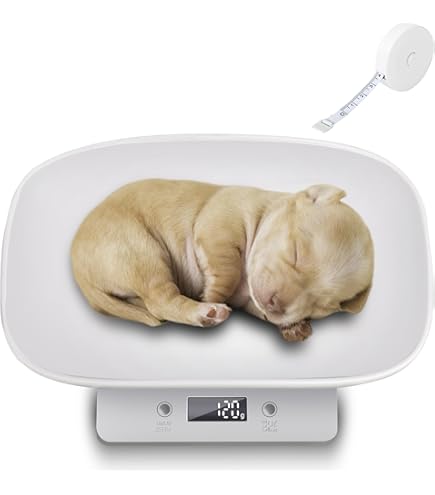 Kern - Pèse-personne Mpl, Portée Max. 250 Kg Lecture 100 G Avec Fonction Imc Mpl 200k 1p Kern Sohn