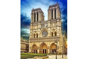YSCOLOR Diamond Painting 5D Bricolage Diamant Art Kits Notre Dame De Paris Diamant Peinture Kits Pour Adultes Débutants Kits Bricolage Artisanat Perceuse Ronde 30x40cm