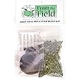 From The Field Grow Your Own Catnip Plant Kit